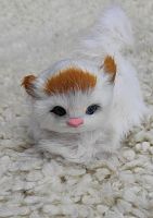 Кот из меха 3 во Иркутске
